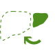 Liver Regeneration